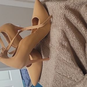 Sexy Heeled Shoe